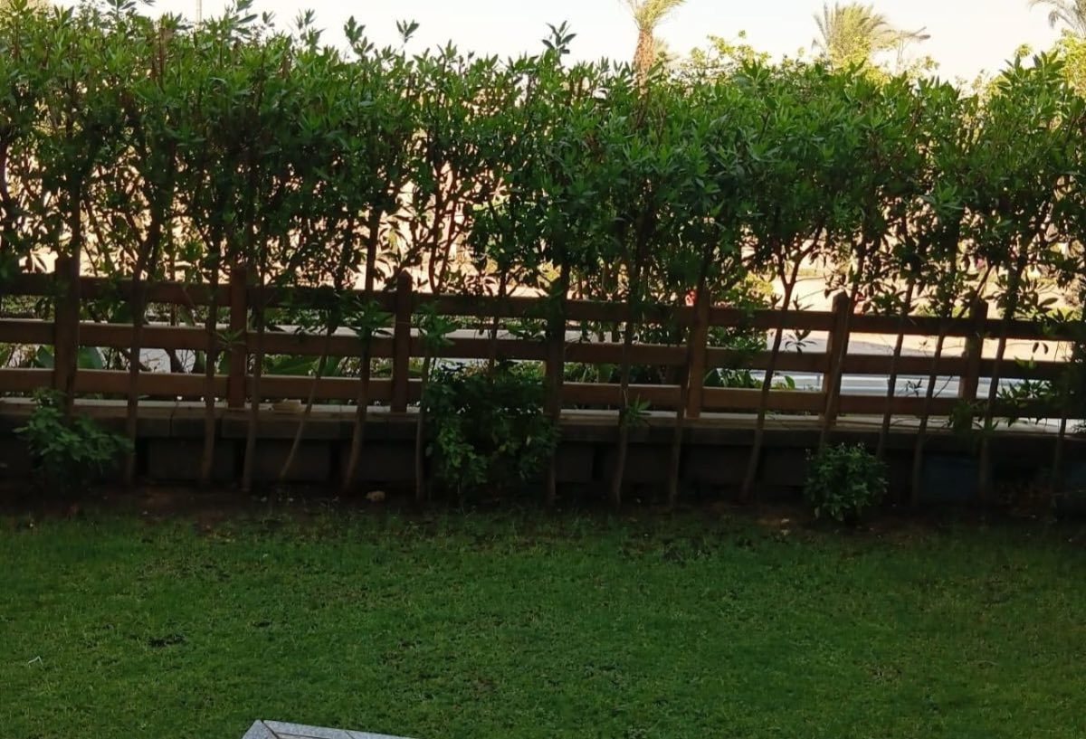 Photo 4 of 8 — Private Garden | Fully Furnished | CFC