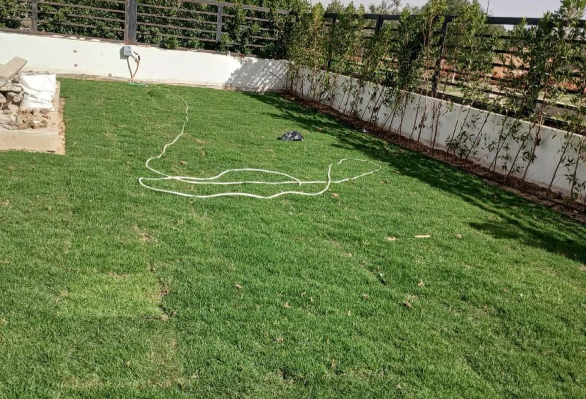 Photo 5 of 8 — First Tenant | Standalone Villa | Private Garden