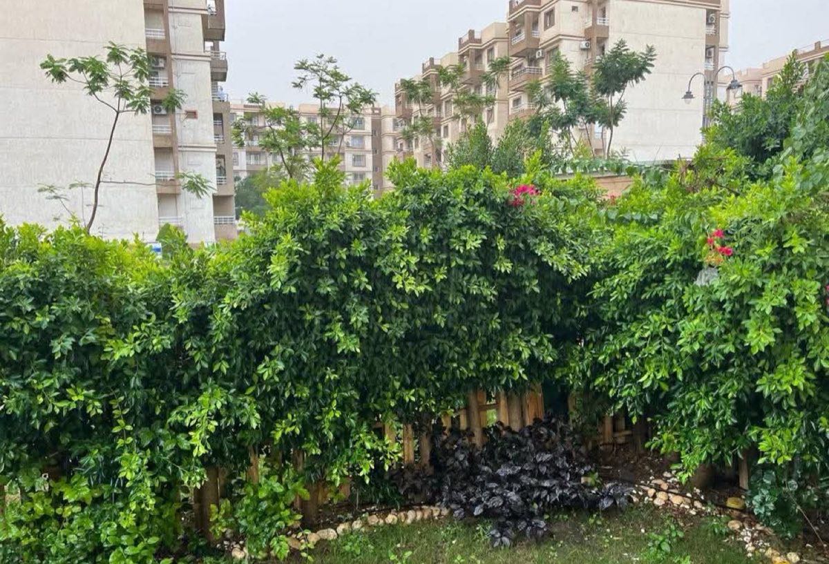 Photo 5 of 8 — Private Garden | Family Only | Long-Term