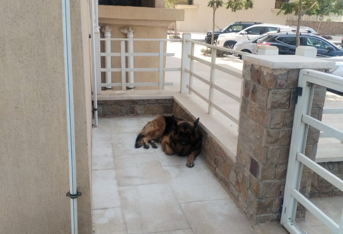 Photo 3 of 8 — Ground Floor | Short-Term Rental | Prime Location
