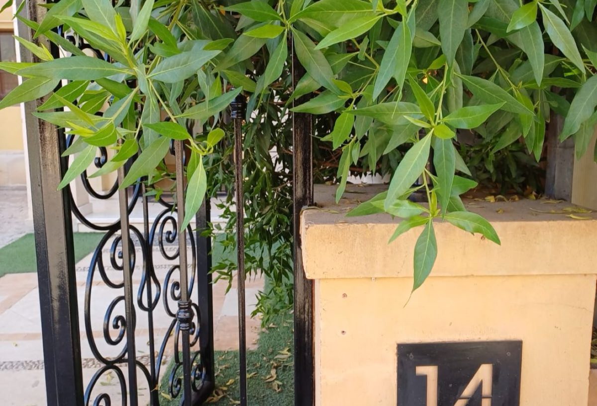 Photo 7 of 8 — 220 sqm Townhouse | 3BR + Maid | Mivida